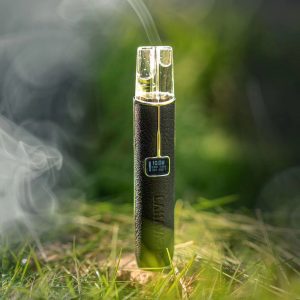 LANA皮革主機