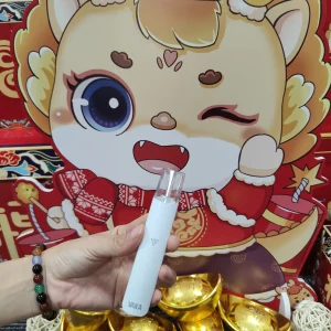 VAKA一代主機煙桿