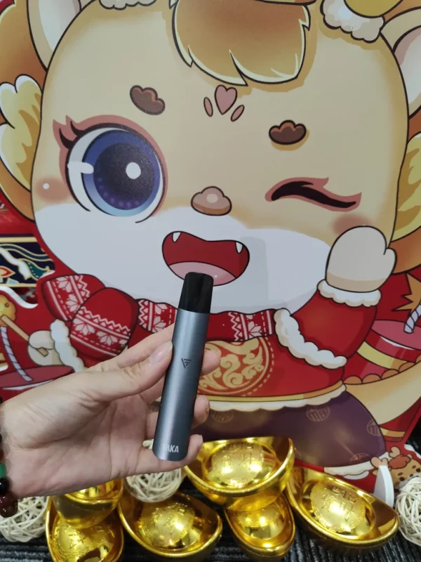 VAKA一代主機煙桿