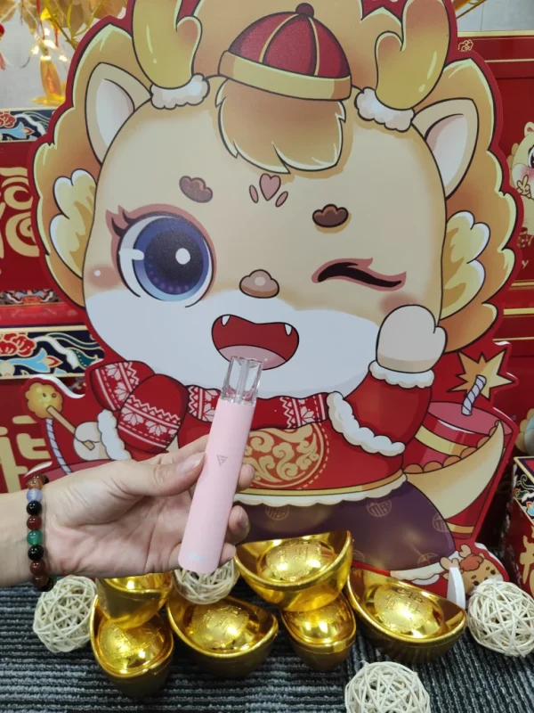 VAKA一代主機煙桿