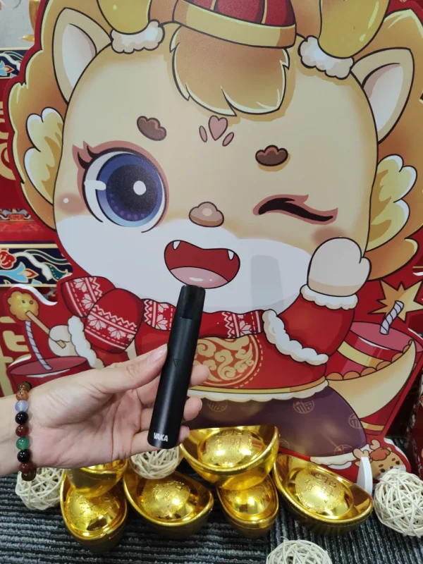VAKA一代主機煙桿